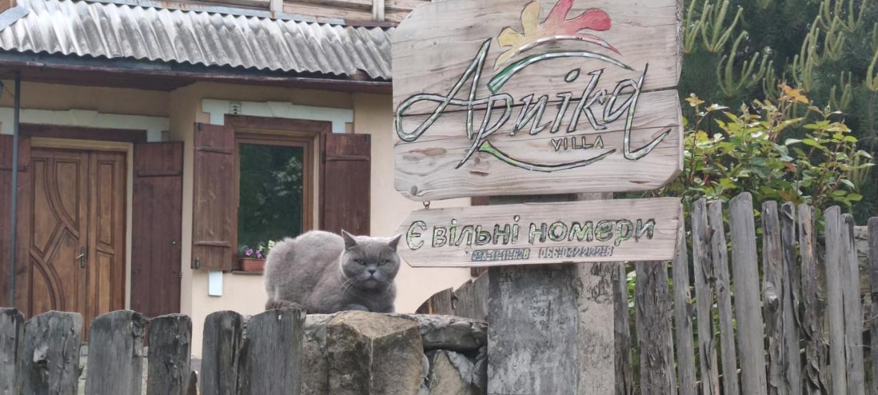 Arnika Tatariv Hotel Kültér fotó