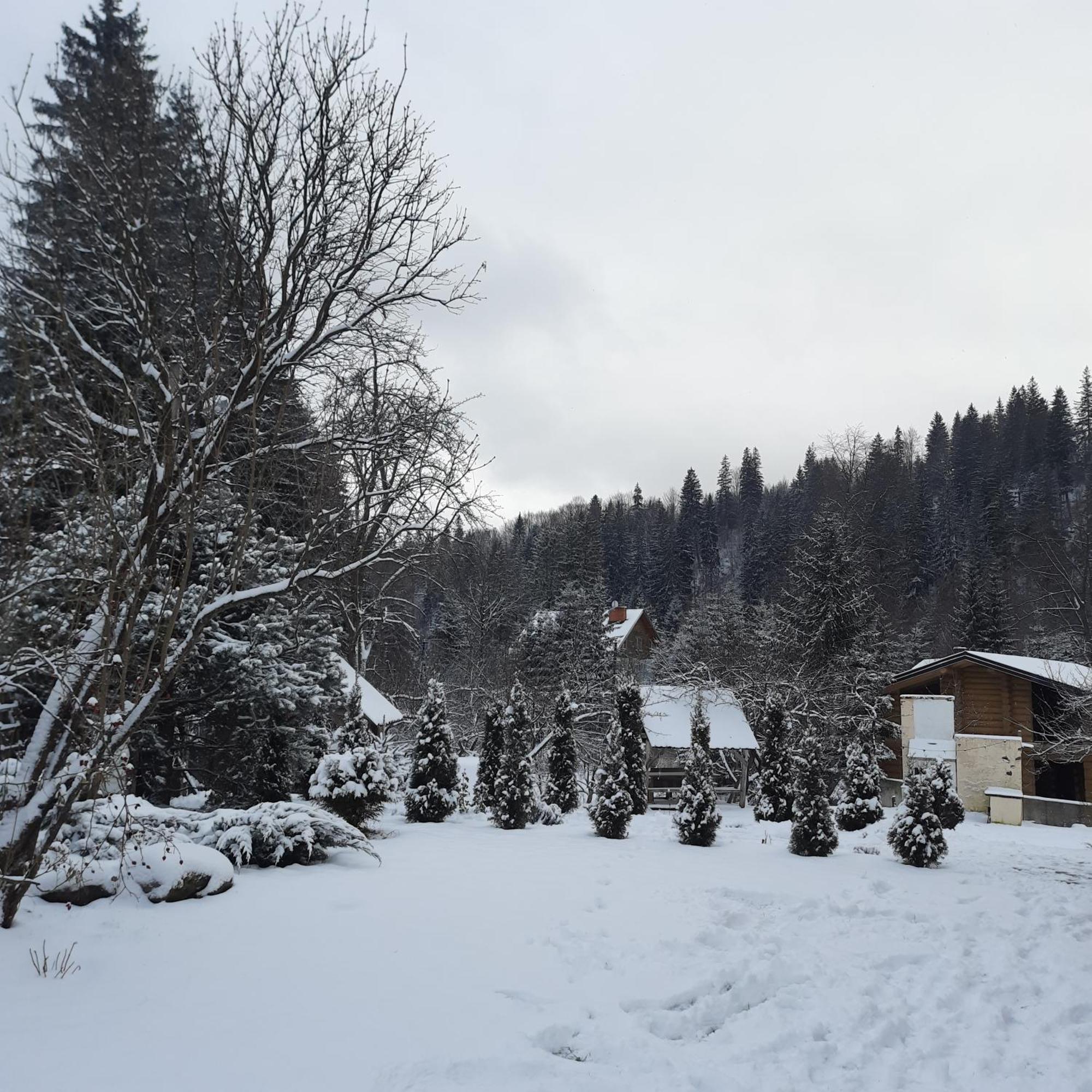 Arnika Tatariv Hotel Kültér fotó